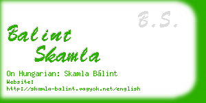 balint skamla business card