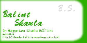 balint skamla business card